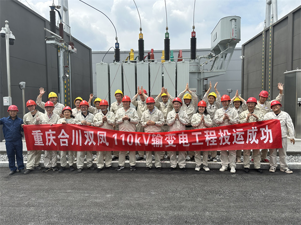 新建110千伏双凤站成功投运.jpg